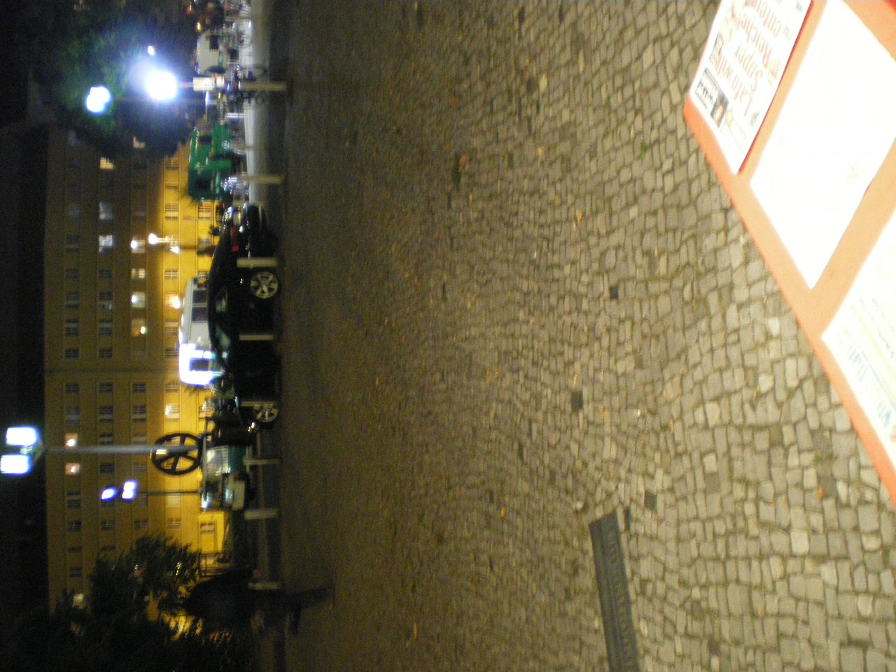 Photographic documentation of RYLLEGA Berlin (Performance by Nguyen Anh Tuan, 19 September 2008)
